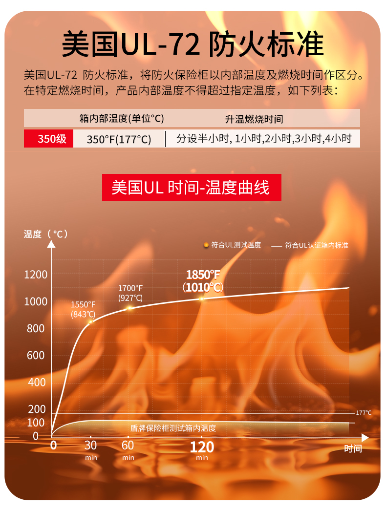 3091-(1)_07.jpg