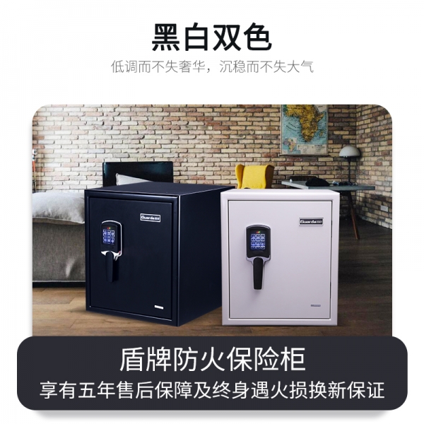防患于未燃：选择专业防火保险柜，守护财富安全
